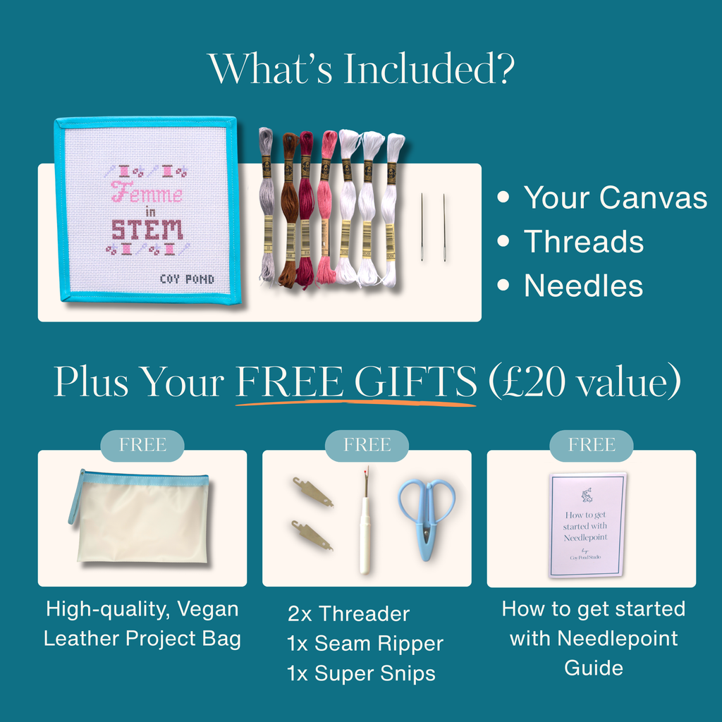 FIS Crafts Needlepoint Starter Kit