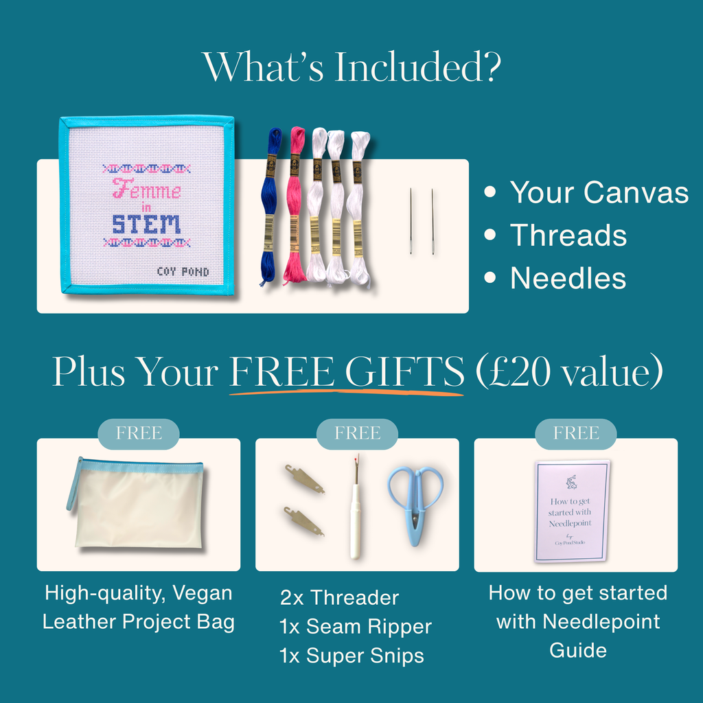 FIS DNA Needlepoint Starter Kit