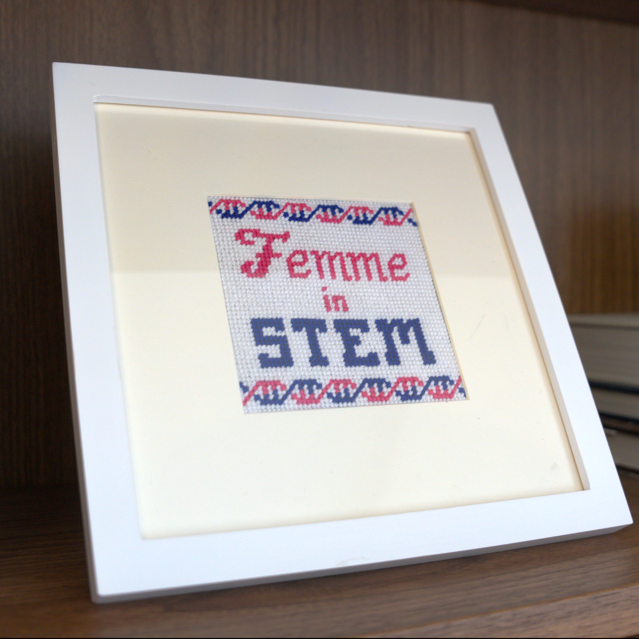 Femme in STEM - DNA