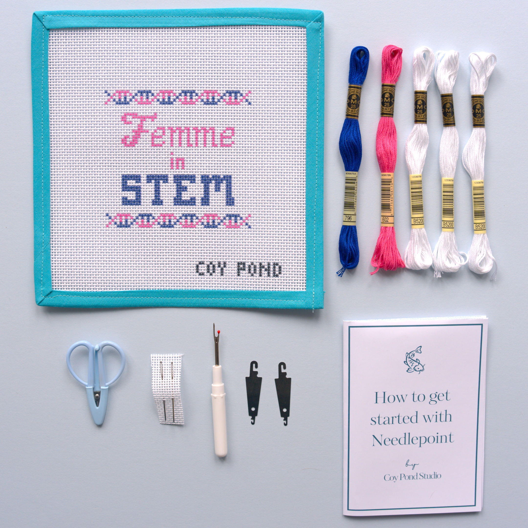 Femme in STEM - DNA